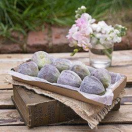 《方舟：生存飞升》新DLC发布 追加新地图火焰猫科生物